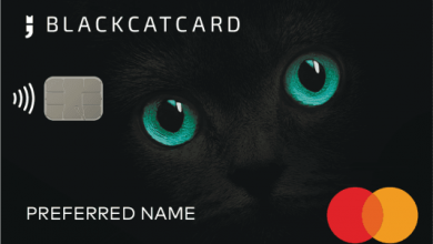 blackcat-company:-a-modern-fintech-solution-for-global-personal-and-business-finance