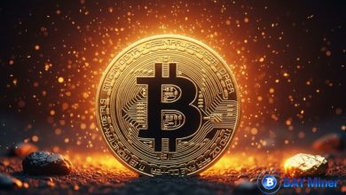 passive-income-made-simple:-bay-miner-mobile-app-delivers-transparent-btc,-eth,-and-xrp-returns