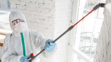 understanding-mold-remediation:-protecting-your-home-and-health