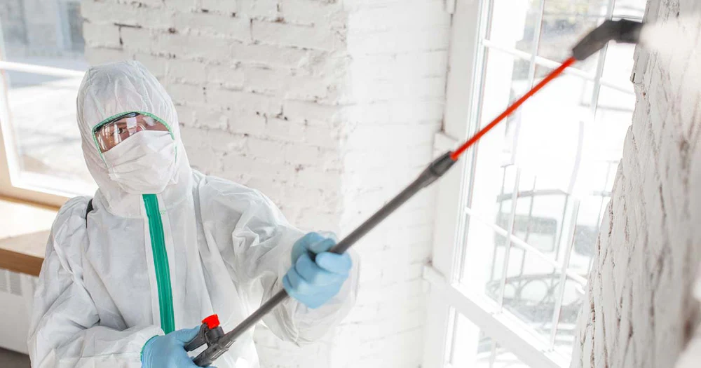 understanding-mold-remediation:-protecting-your-home-and-health