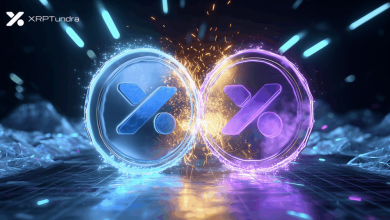 solana-community-embraces-tundra-presale’s-wealth-multiplication-strategy