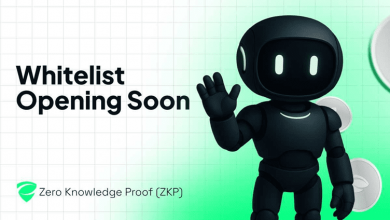zero-knowledge-proof-whitelist-coming-soon:-the-zero-trust-revolution-and-the-next-100x-crypto
